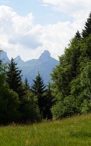 Preview wallpaper lawn, trees, mountain, grass, nature