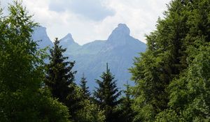 Preview wallpaper lawn, trees, mountain, grass, nature