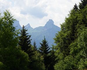 Preview wallpaper lawn, trees, mountain, grass, nature