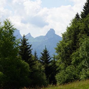 Preview wallpaper lawn, trees, mountain, grass, nature