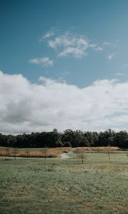 Preview wallpaper lawn, trees, road, landscape, nature