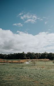 Preview wallpaper lawn, trees, road, landscape, nature