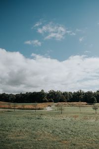 Preview wallpaper lawn, trees, road, landscape, nature