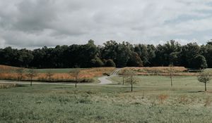 Preview wallpaper lawn, trees, road, landscape, nature