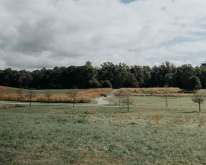 Preview wallpaper lawn, trees, road, landscape, nature