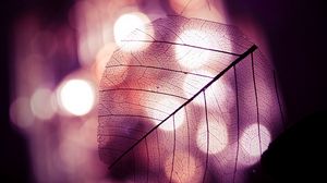 Preview wallpaper leaf, autumn, clear, mood, lights