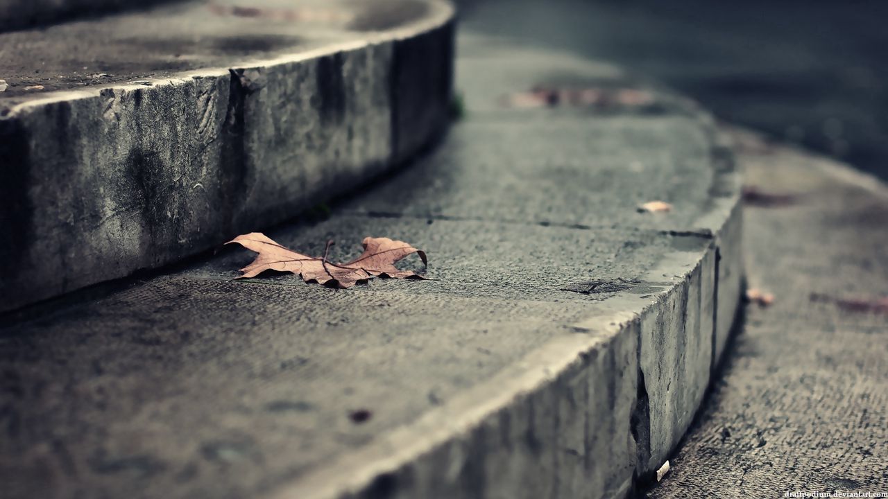 Wallpaper leaf, autumn, dry, fallen, steps
