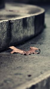 Preview wallpaper leaf, autumn, dry, fallen, steps