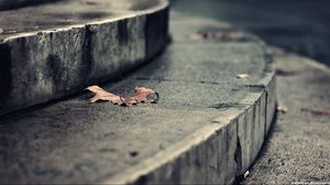 Preview wallpaper leaf, autumn, dry, fallen, steps