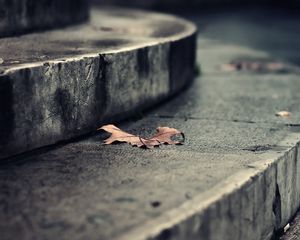 Preview wallpaper leaf, autumn, dry, fallen, steps