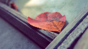 Preview wallpaper leaf, autumn, fallen, surface