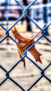 Preview wallpaper leaf, autumn, fence, mesh, hdr