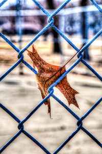 Preview wallpaper leaf, autumn, fence, mesh, hdr