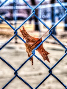Preview wallpaper leaf, autumn, fence, mesh, hdr