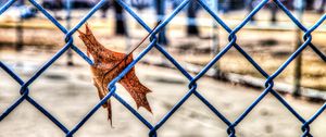 Preview wallpaper leaf, autumn, fence, mesh, hdr