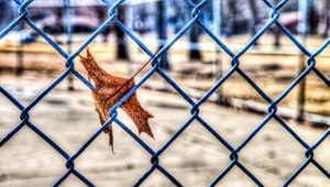 Preview wallpaper leaf, autumn, fence, mesh, hdr