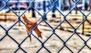 Preview wallpaper leaf, autumn, fence, mesh, hdr