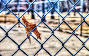 Preview wallpaper leaf, autumn, fence, mesh, hdr