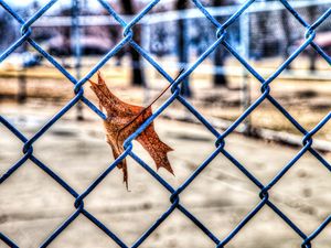 Preview wallpaper leaf, autumn, fence, mesh, hdr