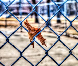 Preview wallpaper leaf, autumn, fence, mesh, hdr