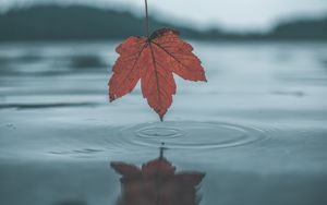 Preview wallpaper leaf, autumn, water, reflection, circles