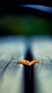 Preview wallpaper leaf, autumn, wood floor, blurring