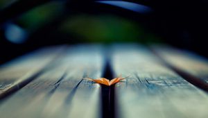 Preview wallpaper leaf, autumn, wood floor, blurring