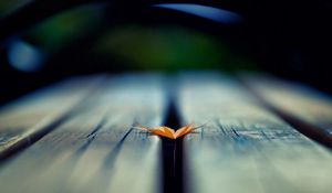 Preview wallpaper leaf, autumn, wood floor, blurring