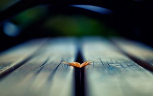 Preview wallpaper leaf, autumn, wood floor, blurring