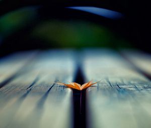 Preview wallpaper leaf, autumn, wood floor, blurring