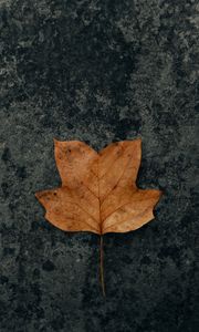 Preview wallpaper leaf, brown, dry, autumn