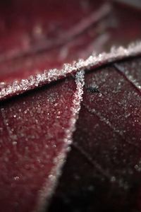 Preview wallpaper leaf, brown, wet, dark