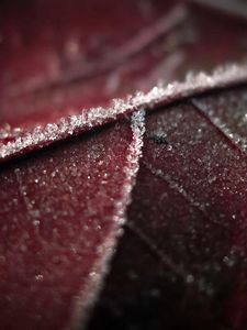 Preview wallpaper leaf, brown, wet, dark