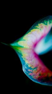 Preview wallpaper leaf, colorful, macro, spots, plant