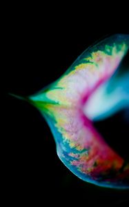 Preview wallpaper leaf, colorful, macro, spots, plant