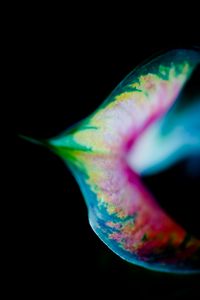 Preview wallpaper leaf, colorful, macro, spots, plant
