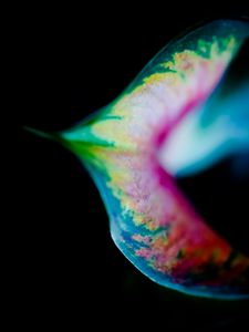 Preview wallpaper leaf, colorful, macro, spots, plant