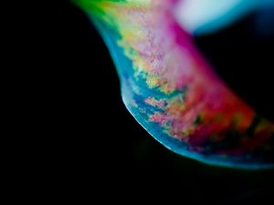 Preview wallpaper leaf, colorful, macro, spots, plant