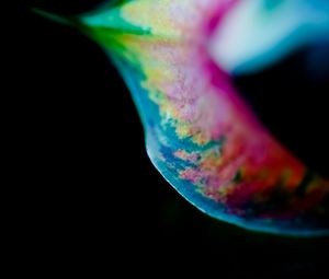 Preview wallpaper leaf, colorful, macro, spots, plant