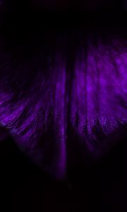 Preview wallpaper leaf, dark, macro, darkness