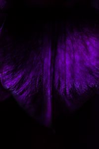 Preview wallpaper leaf, dark, macro, darkness