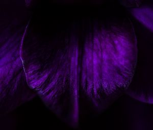 Preview wallpaper leaf, dark, macro, darkness