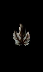 Preview wallpaper leaf, dark, minimalism, darkness