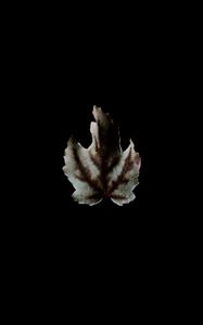 Preview wallpaper leaf, dark, minimalism, darkness