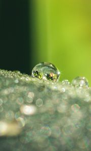 Preview wallpaper leaf, dew, drops, glare, macro