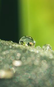 Preview wallpaper leaf, dew, drops, glare, macro