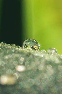 Preview wallpaper leaf, dew, drops, glare, macro