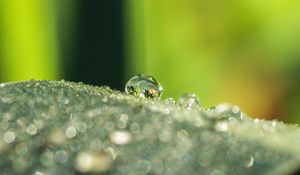 Preview wallpaper leaf, dew, drops, glare, macro