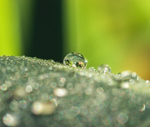 Preview wallpaper leaf, dew, drops, glare, macro