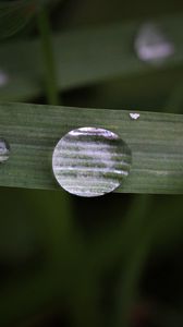 Preview wallpaper leaf, drop, macro, green